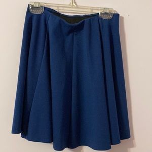 Zara blue trafaluc skirt
